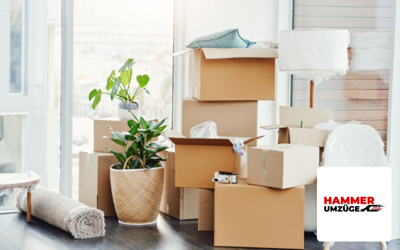 Hammer Umzüge Logo Webdesign Agentur Lübeck